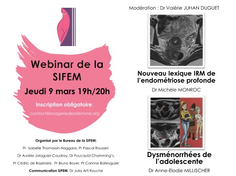 9 avril, invitation au Webinar de la SIFEM